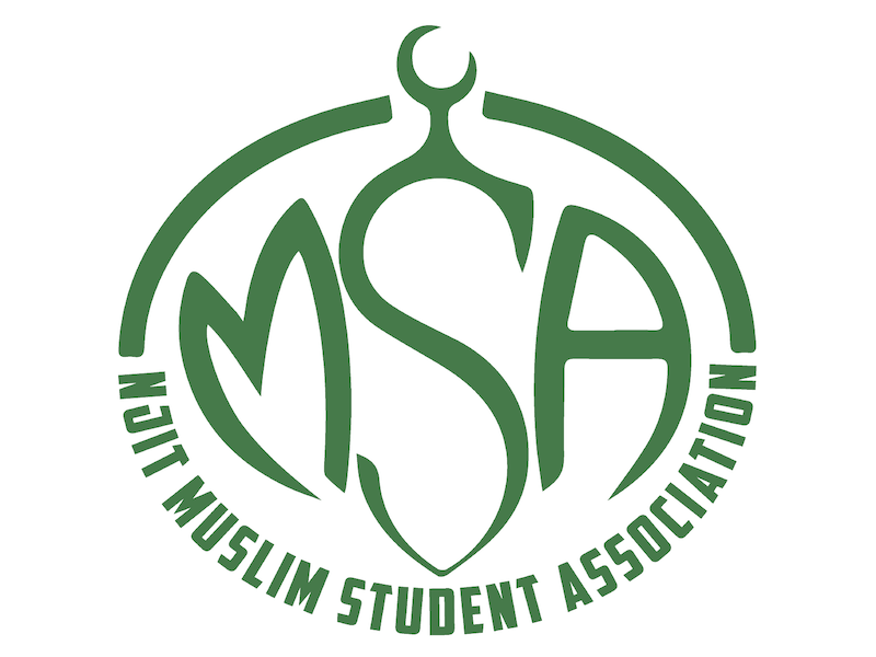 NJIT MSA Description